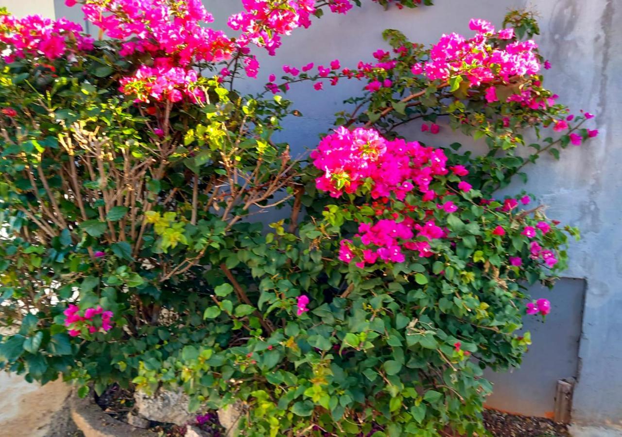 R Garden Villa Au Calme De Baie Du Tombeau, Appartement Familiale De 3 Chambres Et Cuisine 外观 照片